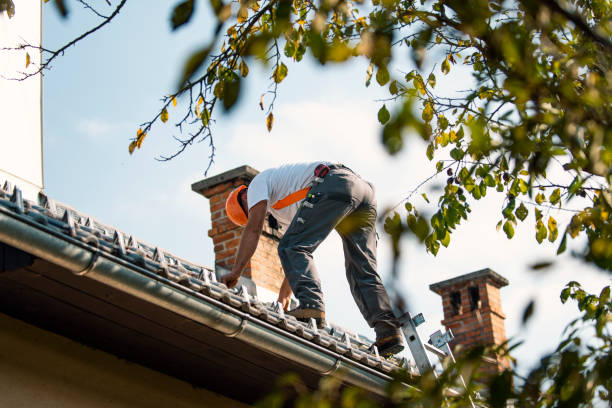 Best Metal Roofing Contractor  in Bonduel, WI
